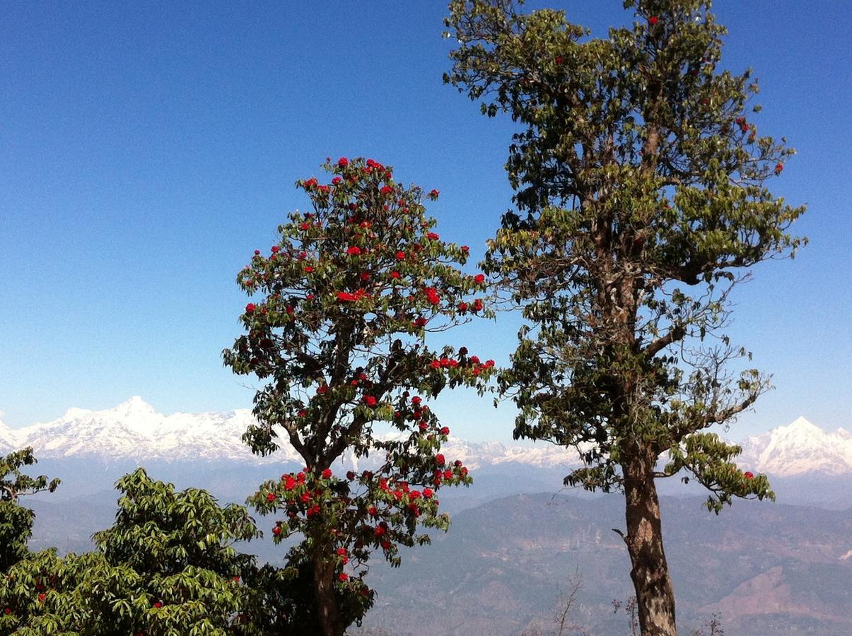 アルモラ Thikalna Himalayan Retreatヴィラ エクステリア 写真