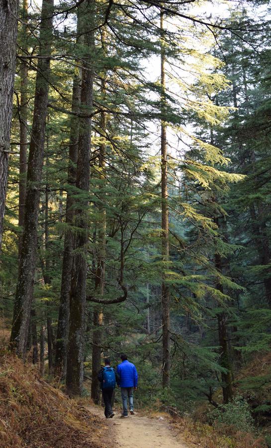 アルモラ Thikalna Himalayan Retreatヴィラ エクステリア 写真